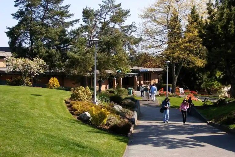 美國社區大學校園環境,介紹 2+2 轉學升讀美國四年制大學的升學途徑
